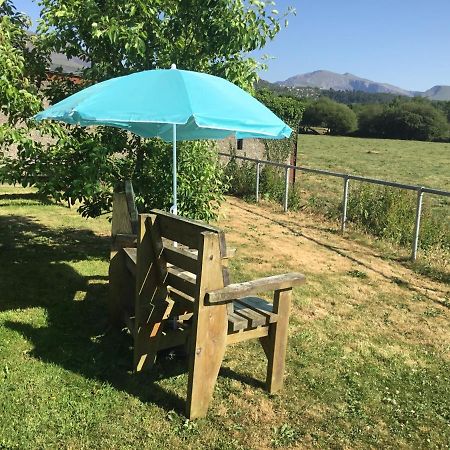 Vila Tyddyn Perthi Farm Llanberis Exteriér fotografie